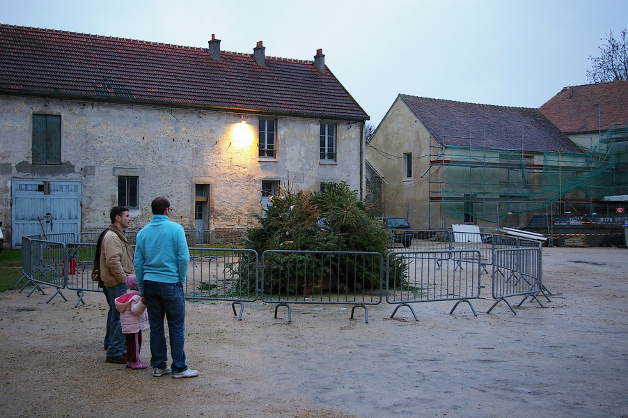 Sapins Galette et cidre: feu de joie sapins 003